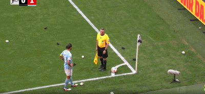 gif, gif, dingy gif, gif, dingy