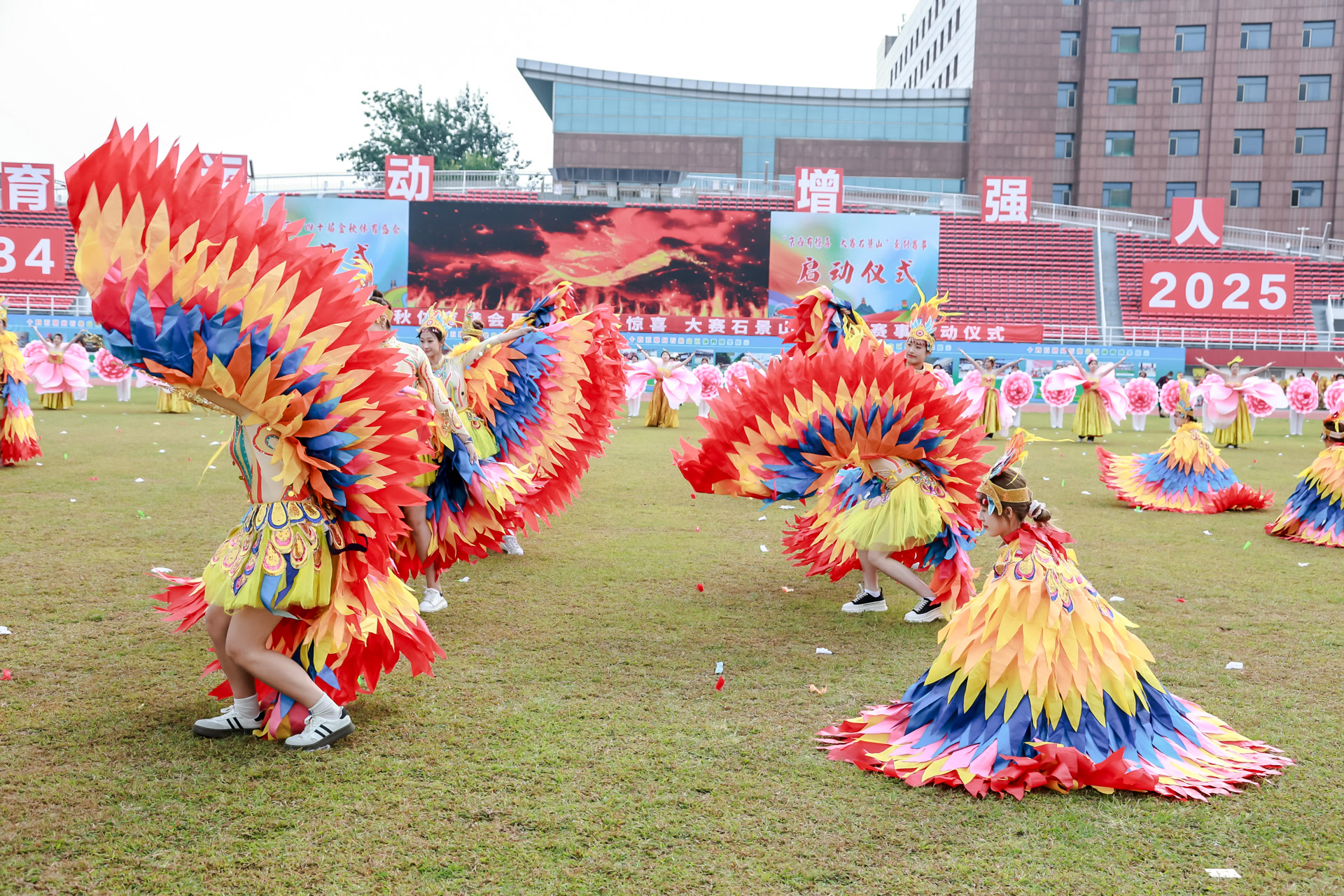 yid, 绳舞飞扬等, amp
