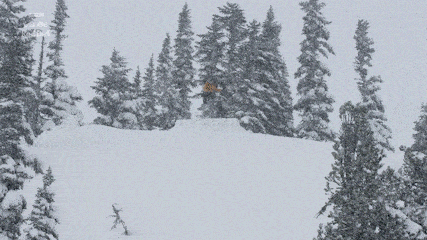 https, https, 凭借一股超 https, https, 凭借一股超