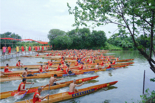 年杏头村三 年杏头村三